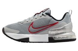Nike Air Max Alpha Trainer 6 Flat Silver / Metallic Silver
