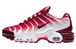 Nike Air Max Plus After The Bite