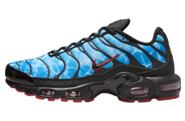 Nike Air Max Plus Black / Baltic Blue