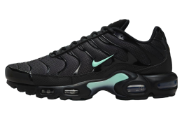 Nike Air Max Plus Black / Mint