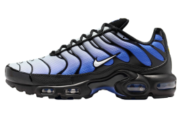 Nike Air Max Plus Black / Sapphire