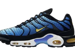 Nike Air Max Plus Greedy