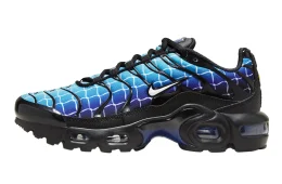 Nike Air Max Plus GS Chain Link