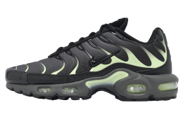 Nike Air Max Plus Iron Grey / Black