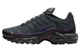 Nike Air Max Plus Iron Grey / Wild Grape