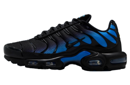 Nike Air Max Plus Nightwing