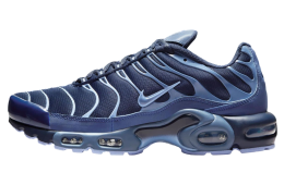 Nike Air Max Plus Obsidian / Aluminum