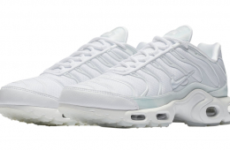 Nike Air Max Plus Pure Platinum