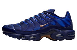 Nike Air Max Plus x French Football Federation