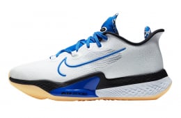 Nike Air Zoom BB NXT Sisterhood