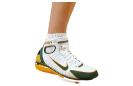 Nike Air Zoom Huarache 2k4 White / Deep Forest