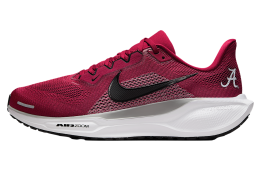 Nike Alabama Pegasus 41 Team Crimson / Pewter Grey