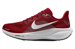 Nike Arizona Cardinals Pegasus 41 Tough Red / White