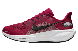 Nike Arkansas Pegasus 41 Team Crimson / White