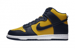 Nike Dunk High Michigan 2020