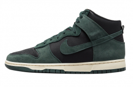 thumb iphone nike chart dunk high premium faded spruce