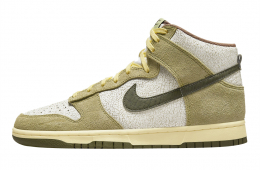 Nike Dunk High Re-Raw