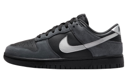 Nike Dunk Low Anthracite / Metallic Silver