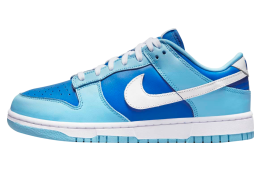 Nike Dunk Low Argon 2022