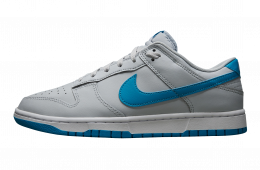 thumb iphone feet nike dunk low grey blue