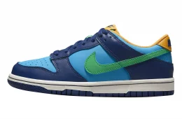 Nike Dunk Low GS Hoops
