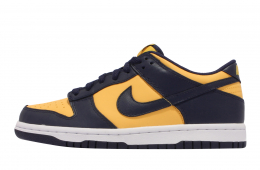 Nike Dunk Low GS Michigan