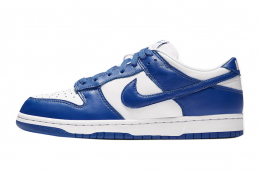 Nike Dunk Low Kentucky