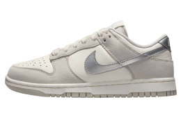 Nike Dunk Low Silver Swoosh