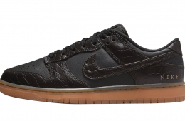 Nike Dunk Low Velvet Brown