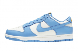 thumb iphone nike dunk low wmns coast