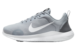 Nike Flex Experience Run 12 Wolf Grey / Iron Grey (Extra Wide)