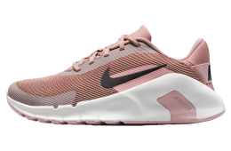 Nike Flex Train WMNS Malt / Silt Red