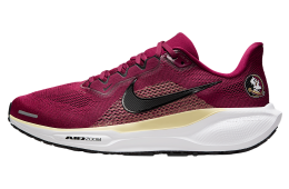 Nike Florida State Pegasus 41 Team Maroon / Team Gold