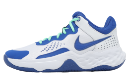 Nike Fly.By Mid 3 White / Game Royal