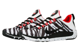 Nike Free Trainer 5.0 NRG - Kingdom Collection