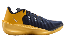 Nike G.T. Cut 4 EP University Gold / Multi