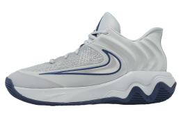 Nike Giannis Immortality 4 EP Wolf Grey / Mtlc Platinum