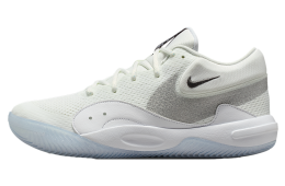 Nike Hyperquick SE Summit White / Pure Platinum