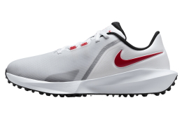 nike cake Infinity G NN White / Pure Platinum (Wide)