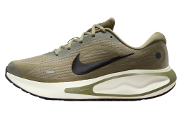 Nike Journey Run Silver Sage / Black Spruce