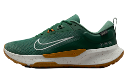 Nike Juniper Trail 2 Gore-Tex Fir / Desert Ochre
