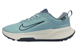 Nike Juniper Trail 2 GTX Denim Turquoise / Midnight Navy