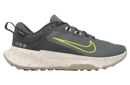 Nike Juniper Trail 2 GTX V2 Medium Ash / Lightening