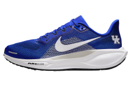 Nike Kentucky Pegasus 41 Game Royal / Night Silver