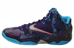 Nike LeBron 11 - Summit Lake Hornets