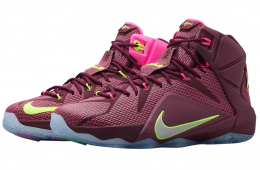 lebron 12 data for sale