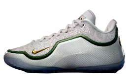 Nike Lebron 23 From This Point Forward