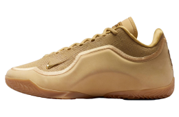 Nike Lebron 23 Honor Society