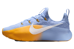 Nike Lebron TR 1 Aluminum / University Gold