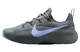 Nike Lebron TR 1 Cool Grey / Iron Grey